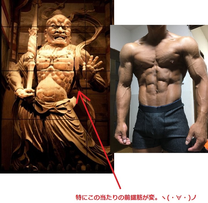 歴史 金剛力士像の体を 現役のボディビルダーが評価するとどうなるのか 思いを馳せよう 筋トレrpg